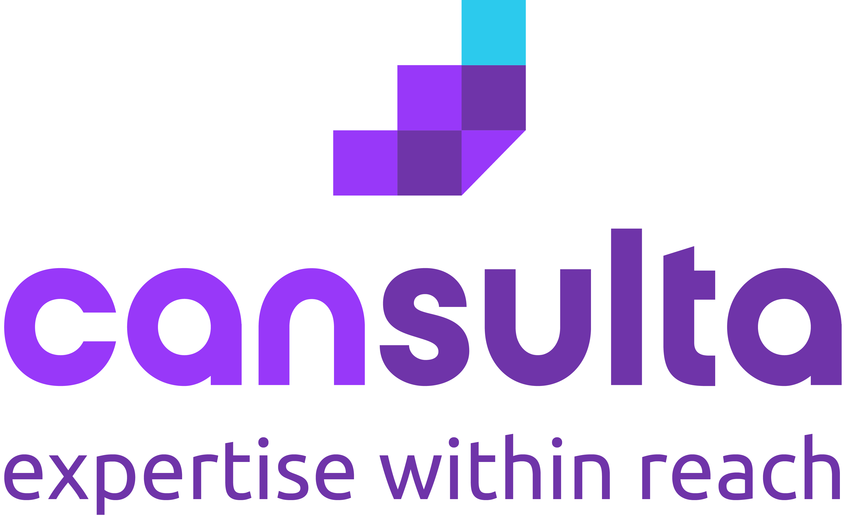 Cansulta logo