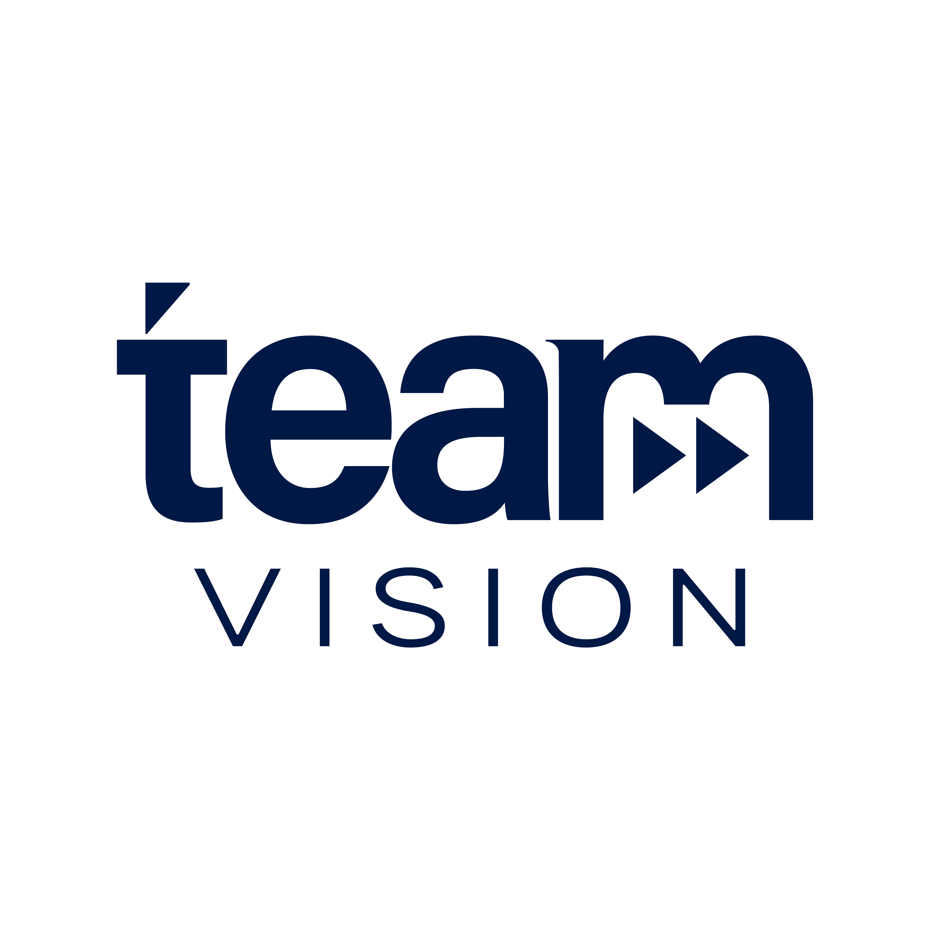 TEAM VISION LLC logo
