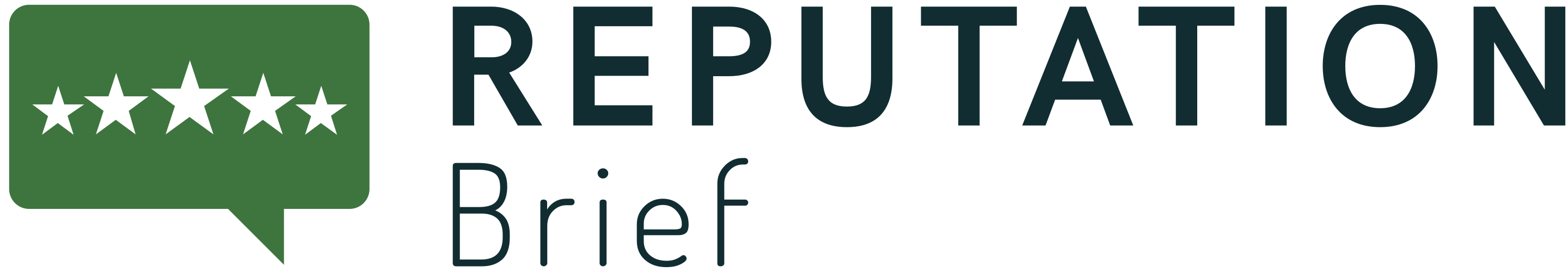 Reputation Brief logo