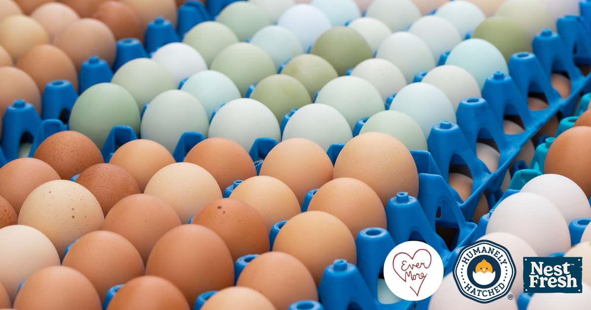 Evermore Pet Food Announces Industry-First Humanely HatchedTM Egg Commitment