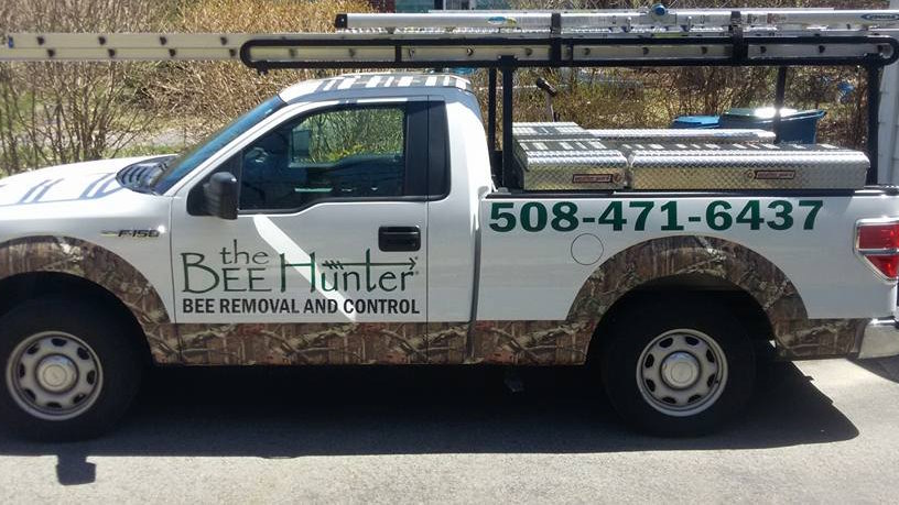 The Bee Hunter announces The Bee Hunter Releases Educational Resources on Stinging Insect Identification and Removal for MetroWest Homeowners