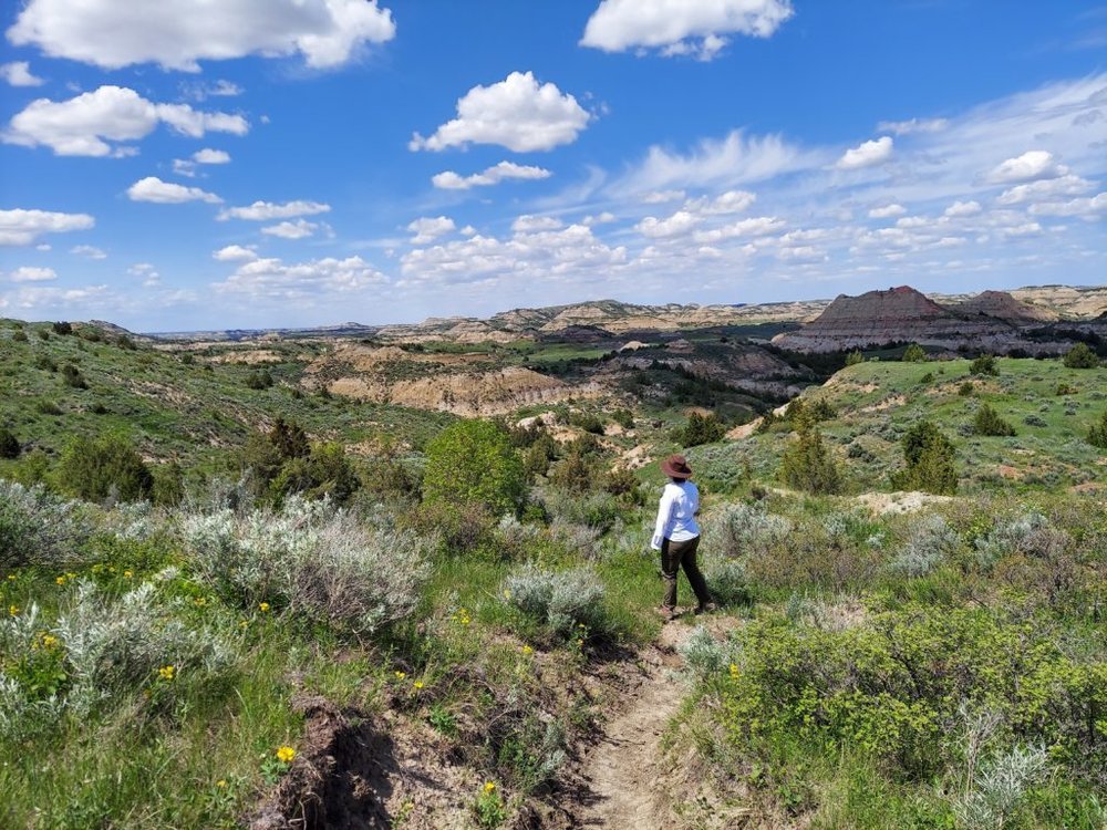 Theodore Roosevelt Presidential Library announces Augmented-Reality Mobile App Sparks Outdoor Exploration and Gets Kids Engaged With Nature