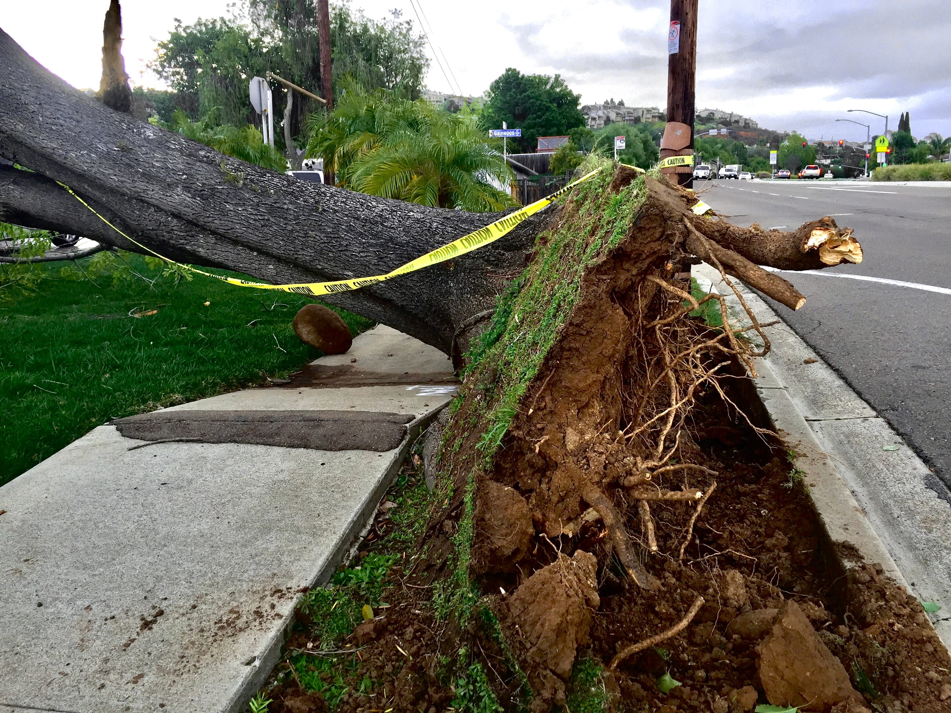 Republic Claims Associates, Public Adjuster in Ocean County NJ, Opens Nor'easter Claim Help for Flooded Long Beach Island and Shore Property Owners