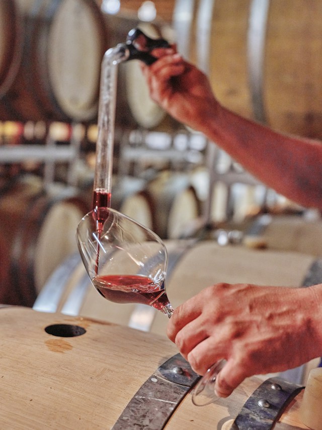 Steric Systems Introduces Cost-Effective Solution for Wine Quality Enhancement Amid Early Harvest Challenges