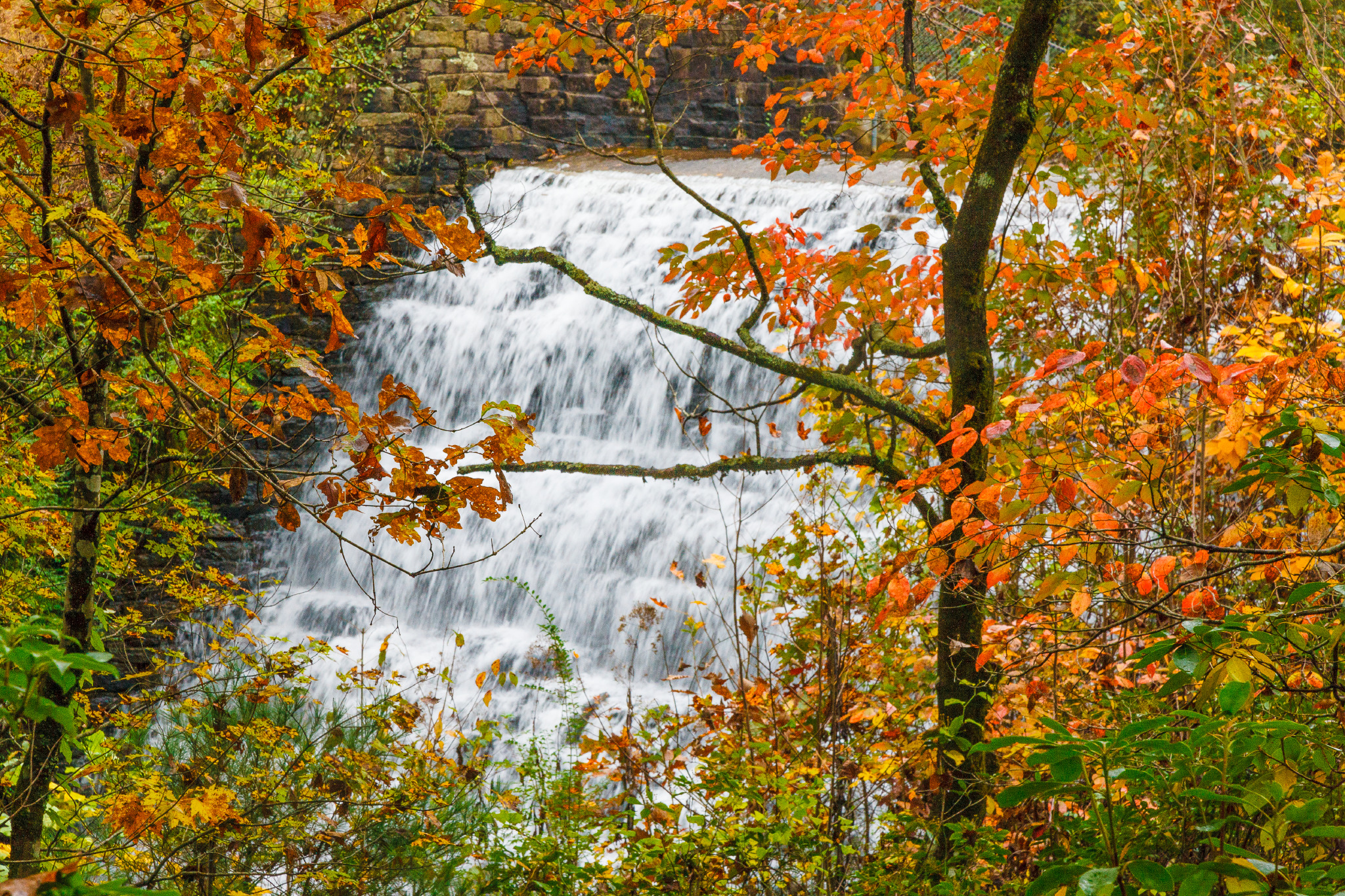 Lake Hartwell Country Highlights Best Places to See Fall Foliage in Upstate South Carolina