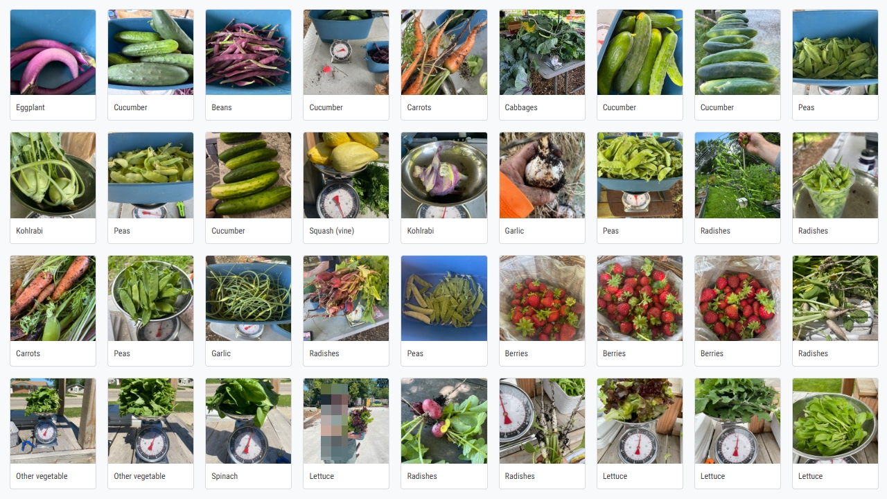 Urban Seed Logs Record Harvest in 15th Season, Sets 2027 Focus on Building an Organization That Lasts