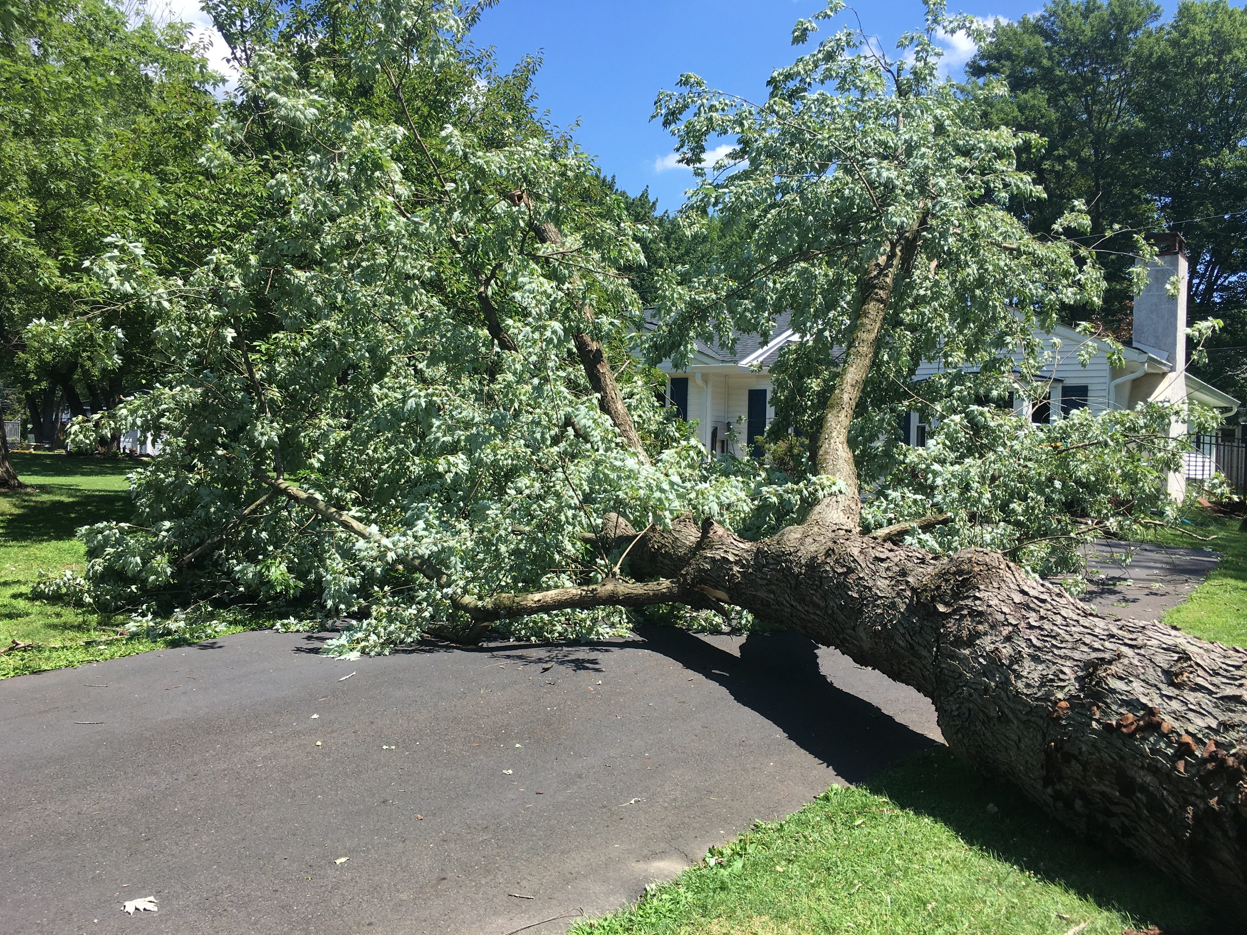 Nassau County Public Adjuster for Storm and Flood Claims Republic Claims Associates Opens Nor’easter Claim Help for Homeowners and Businesses as New York Seeks Federal Disaster Aid