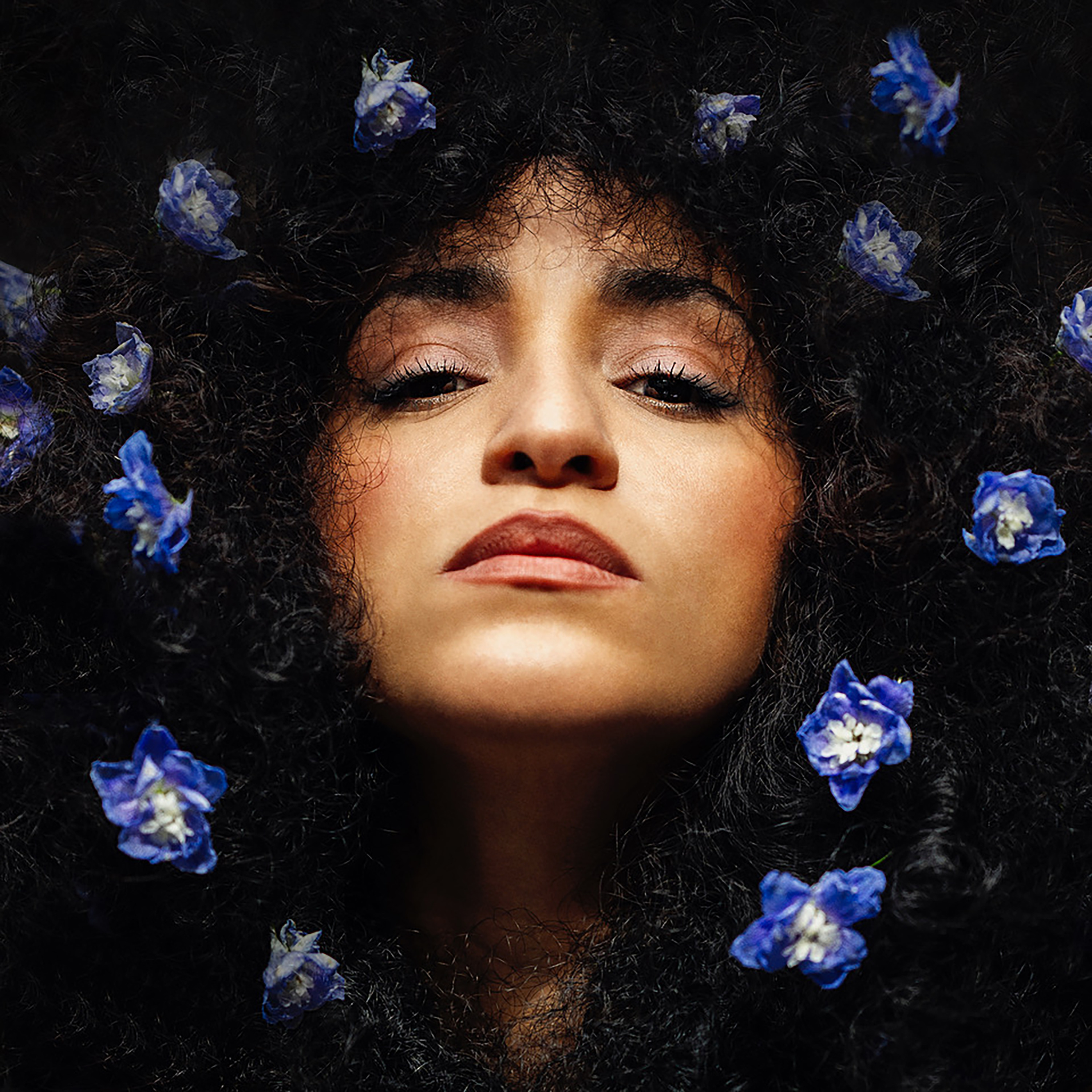 AudioMaze Announces the Debut EP